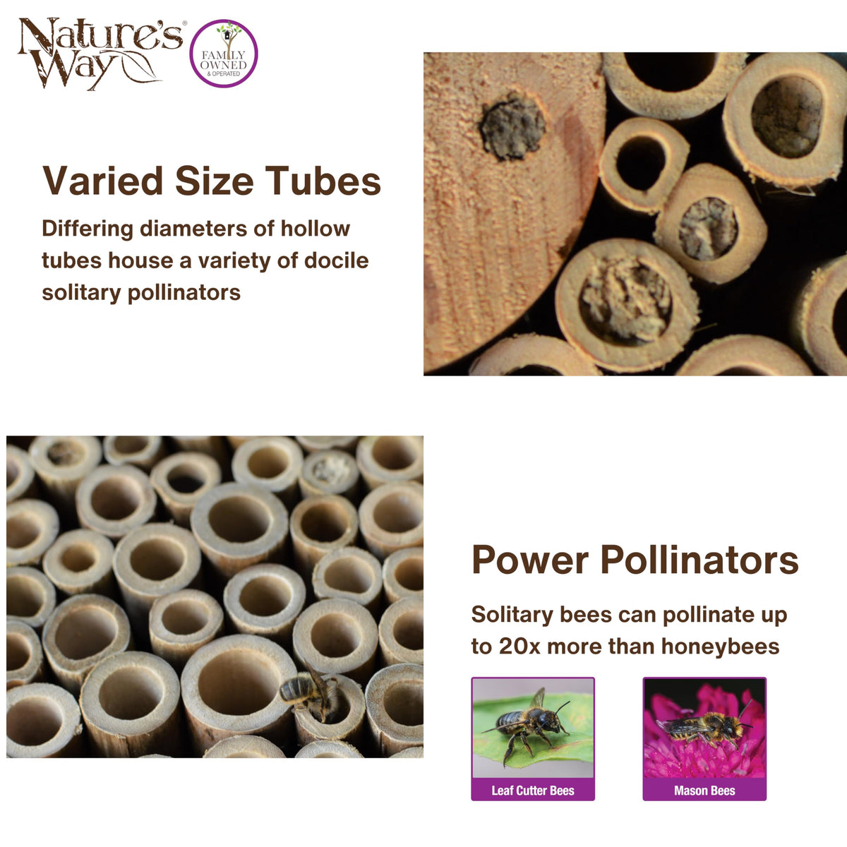 Nature's Way Bird Products PWH1-B Purple Bee House Nature's Way