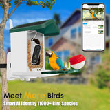 ImmSss Bird Feeder with Camera,Smart AI Identify Bird Species,Solar Hummingbird House Outdoor with 2.5K HD Cam,Live View,Instant Alerts,Capture Bird Video,Squirrel-Proof,Ideal Gift for Bird Lover ImmSss