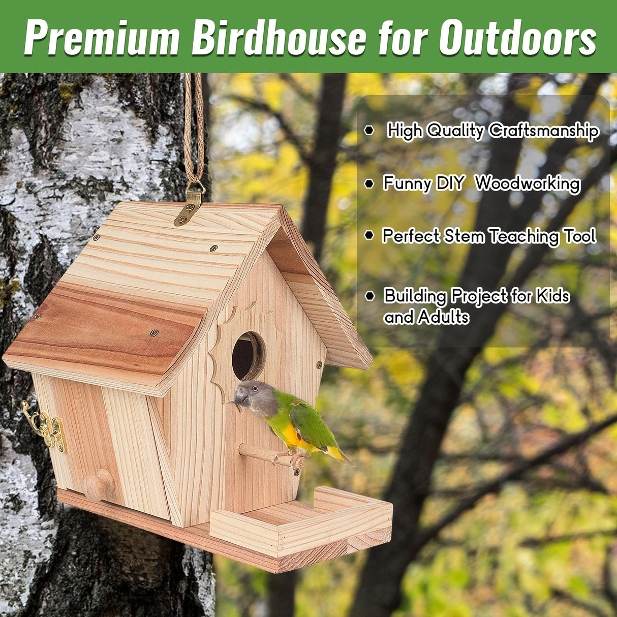 Bird Houses for Outside to Build, DIY Birdhouse Kit with Paint Set, Wooden Bird House with Feeder Trough, Natural Woodworking Kits for Kids and Adults Bird Nest WIZGSZ