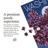 Lantern Press Made in USA Puzzle for Adults - 1000 Pieces, Reference Poster, Premium Box, Washington, DC, Night Scene Lantern Press