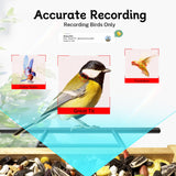 TT Nature Bird Feeder with Camera, Upgraded 1.5L Smart Bird Feeder with AI Identify for 10000 Plus Bird Species, Auto Capture Bird & Real-time Notifications, Ideal Gift for Bird Lovers (Iron Roof) TT Nature
