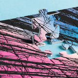 Hard Impossible Puzzles for Adults 1000 Piece, Challenging Difficult Puzzles for Adults, Colorful Gradient Jigsaw Puzzle for Adult BBOLDIN