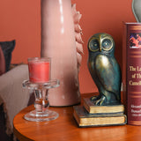 Kakizzy Book Ends for Shelves, Owl Decorative Bookends Bronze Bird Book Stopper Unique Kids Book Holders with Anti-Slip Base Luxurious Bookends for Kids Rooms Office Home Decor(Bronze) Kakizzy