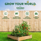 Greenes Fence Original Cedar Raised Garden Bed, 4' x 4' x 10.5" (2-Pack) - Made in USA with North American Cedar Greenes Fence
