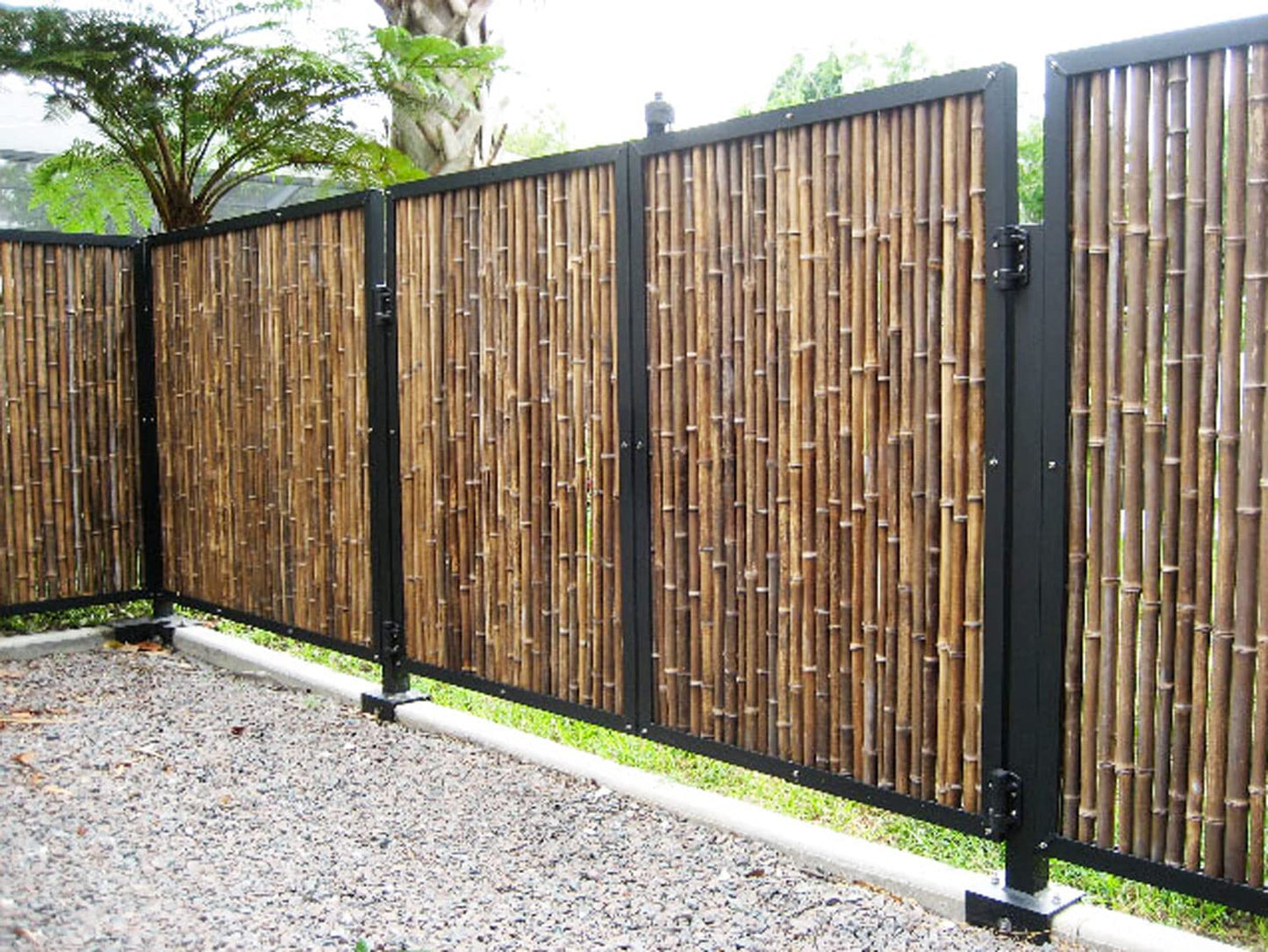 Backyard X-Scapes Natural Bamboo Fencing Garden Screen Rolled Fence Panel Black 4 ft H x 8 ft L