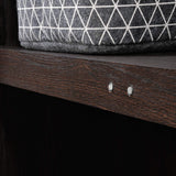 Sauder HomePlus Storage Pantry Cabinet, L: 30.71" x W: 17.21" x H: 68.82", Dakota Oak finish Sauder