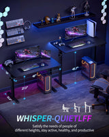 Standing Desk Electric Adjustable Computer Desk-Stand up Desk Office Gaming Home Office Memory Desks 48x24 inches Black BIZUM