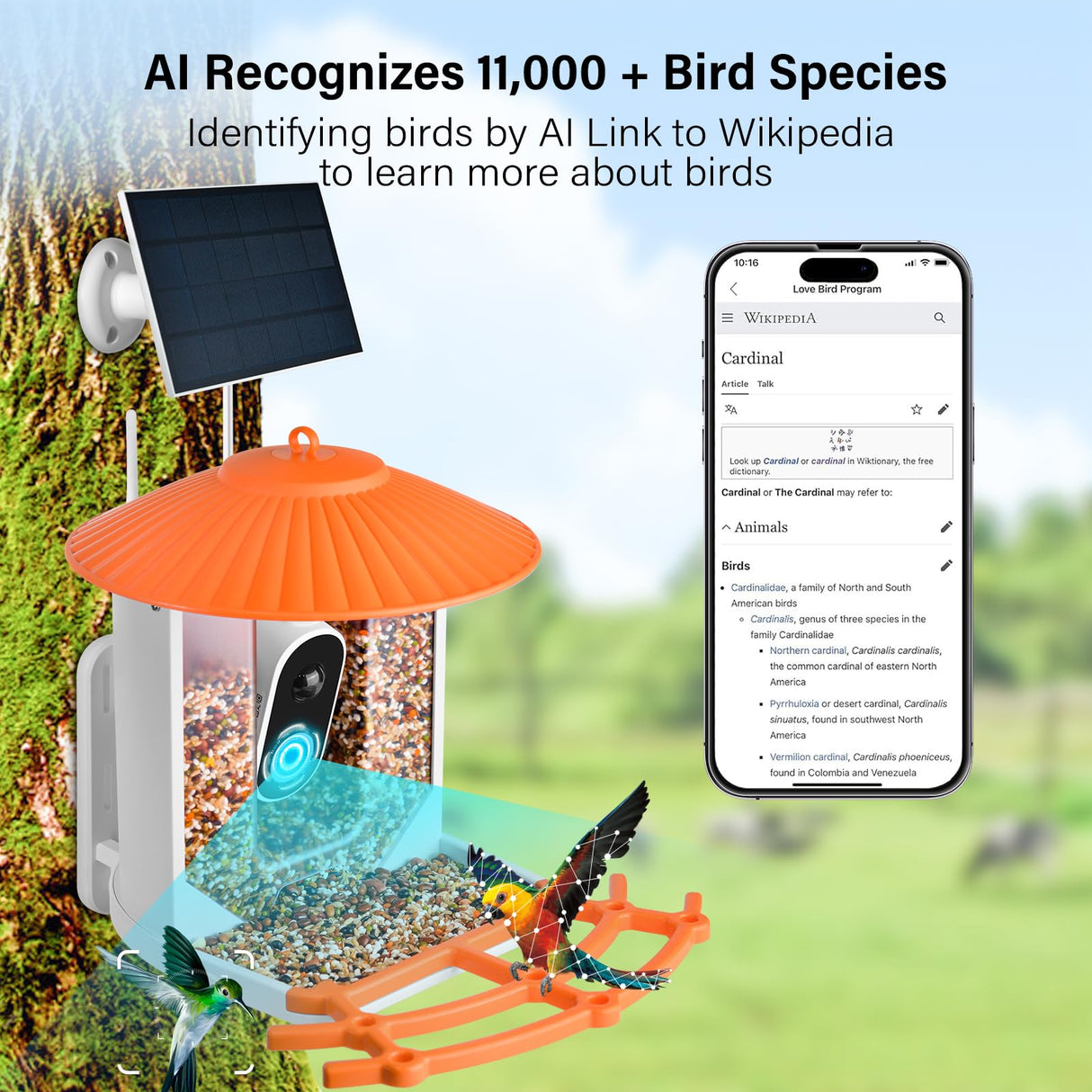 Smart Bird Feeder with Camera, Wireless Outdoor Solar Bird Feeder, Solar-Powered WiFi 1080P Live Camera, Auto Capture & Motion Detection ZENFLIX