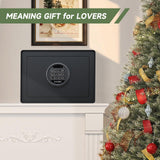 Goldenkey Digital Security Safe and Lock Box,Small Safe box for Money, Keypad Lock,Perfect for Home Office Hotel Business Jewelry Gun Use Storage, 0.77 Cu.Ft./ Black GOLDENKEY