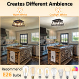 FadimiKoo 4-Light Black Flush Mount Ceiling Light for Kitchen Hallway, Industrial Close to Ceiling Lighting, Farmhouse Square Cage Lamp for Dining Room, Living Room, Bulb Not Included FadimiKoo