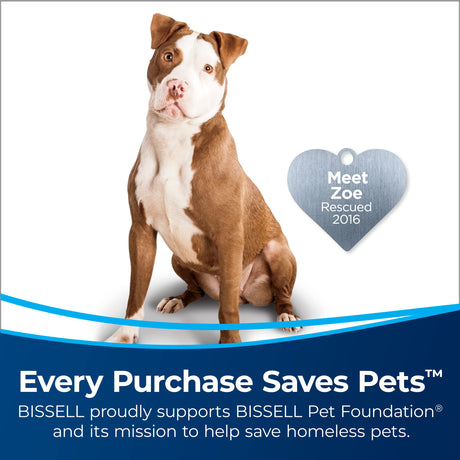 Bissell 2252 CleanView Swivel Upright Bagless Vacuum with Swivel Steering, Powerful Pet Hair Pick Up, Specialized Pet Tools, Large Capacity Dirt Tank, Easy Empty Bissell