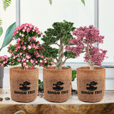 Meekear Indoor Starter Kit with Complete Planting Tools, Gardening DIY Gift for Plant Lovers Meekear