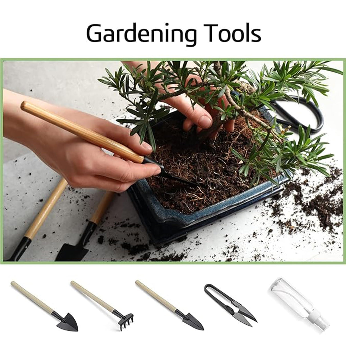 Sproutix Bonsai Garden Starter Kit, 4 Seeds Growing into Sakura, Ginkgo, Black Pine, Red Flame, Including Complete Gardening Tools & A Wooden Box with Cover, Christmas Gifts for Men Women Beginners SPROUTIX