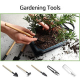 Sproutix Bonsai Garden Starter Kit, 4 Seeds Growing into Sakura, Ginkgo, Black Pine, Red Flame, Including Complete Gardening Tools & A Wooden Box with Cover, Christmas Gifts for Men Women Beginners SPROUTIX