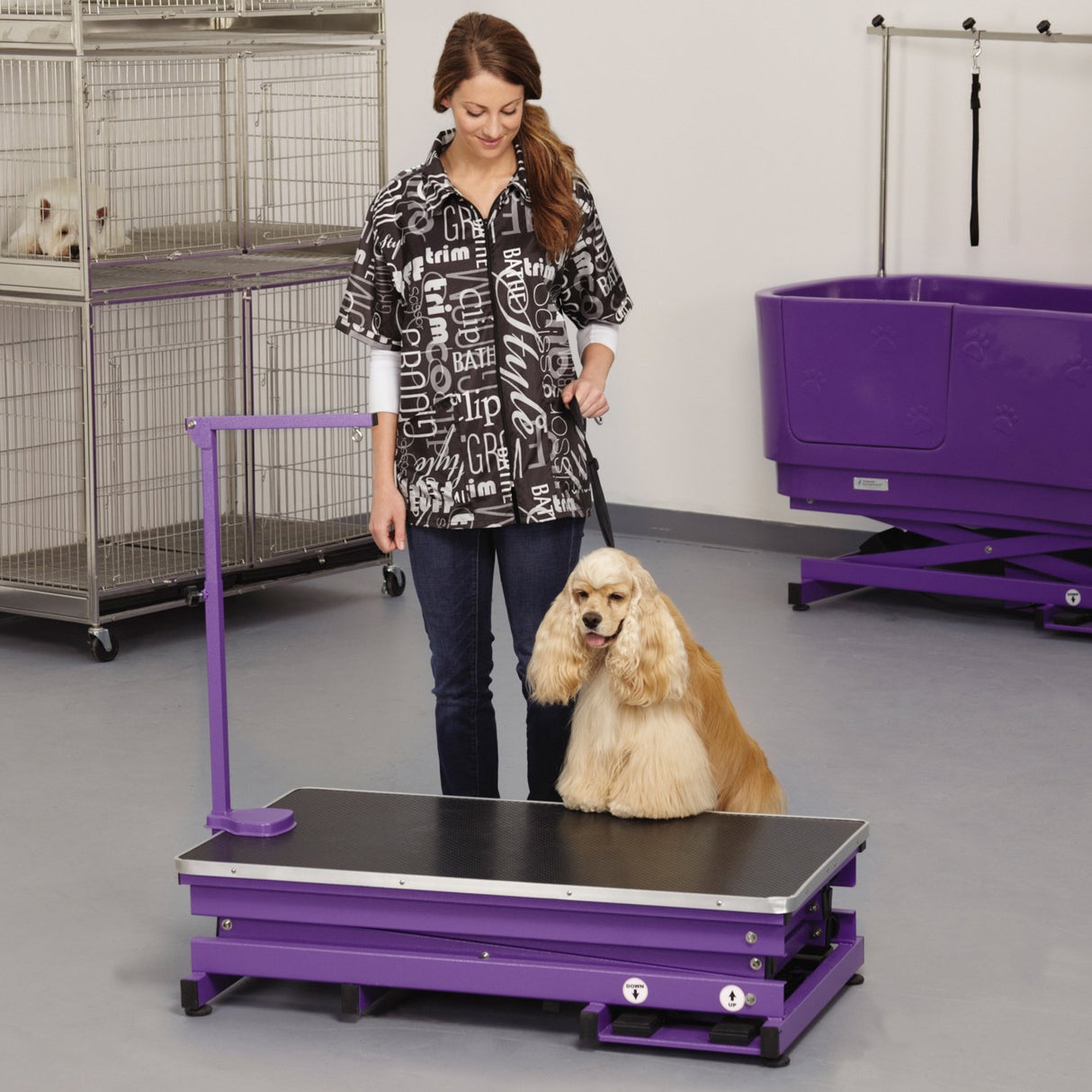 Master Equipment Master Equip Xtend Electric Grooming Table, Purple Master Equipment