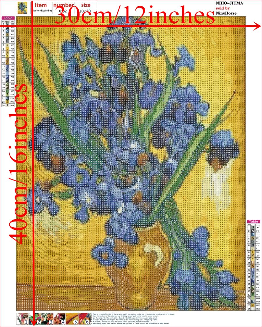 NIHO-JIUMA Diamond Painting Kits Van Gogh Irises, DIY 5D Full Drill Diamond Art Gift for Adult/Teen, Home Decoration (30x40cm/12x16inches) NIHO-JIUMA