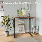 DSNAPE Electric Standing Adjustable Desk with Drawers, 48" x 24" Sit Stand Up Desk Adjustable Height with Side Storage for Home and Office, Rustic Brown DSNAPE