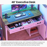 Vabches Farmhouse 47" Executive Desk, Computer Desk with 2 Drawers, LED Light and Storage Cabinet, Home Office Desk with Hutch, Charging Hub, Workstation for Home Office and Study.Unique White Vabches