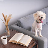 IRIS USA Furniture-Style Wooden Enclosed Pet Crate for Small Medium Dog, Dark Brown IRIS USA, Inc.