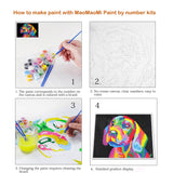 Maomaomi Paint by Numbers DIY Acrylic Painting Kit for Kids & Adults Beginner – 16" Wx20 L Colorful Horse Head Pattern Maomaomi
