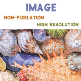 Colorful Seashell Puzzle for Adult 1000 Piece, Ocean Beach Puzzle 1000 Pieces for Adult, Marine Jigsaw Puzzles Hawaii 1000 Piece for Adult BBOLDIN