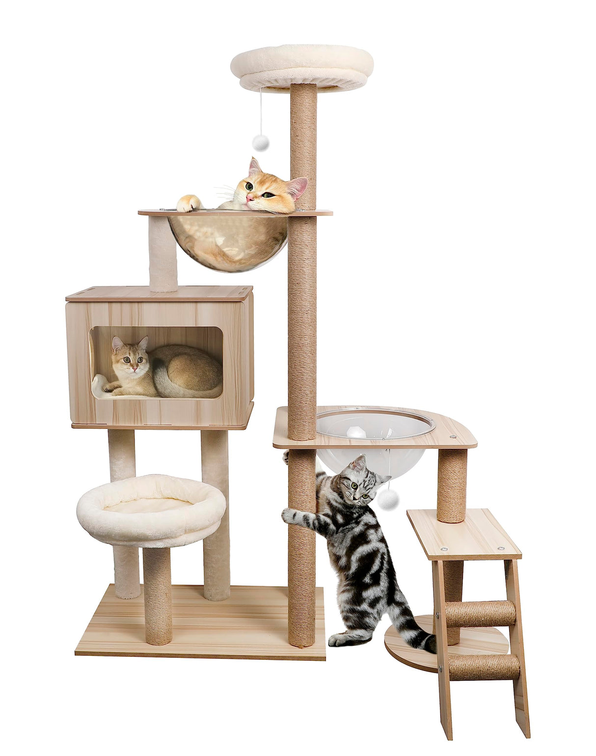 CASSAIO Cat Tree for Indoor Cats Modern Cat Tree Wood Cat Tower with Large Space Capsule Cat Condo with Sisal Scratching Post and Funny Toy Cat Furniture Activity Center 55.5 inch CASSAIO