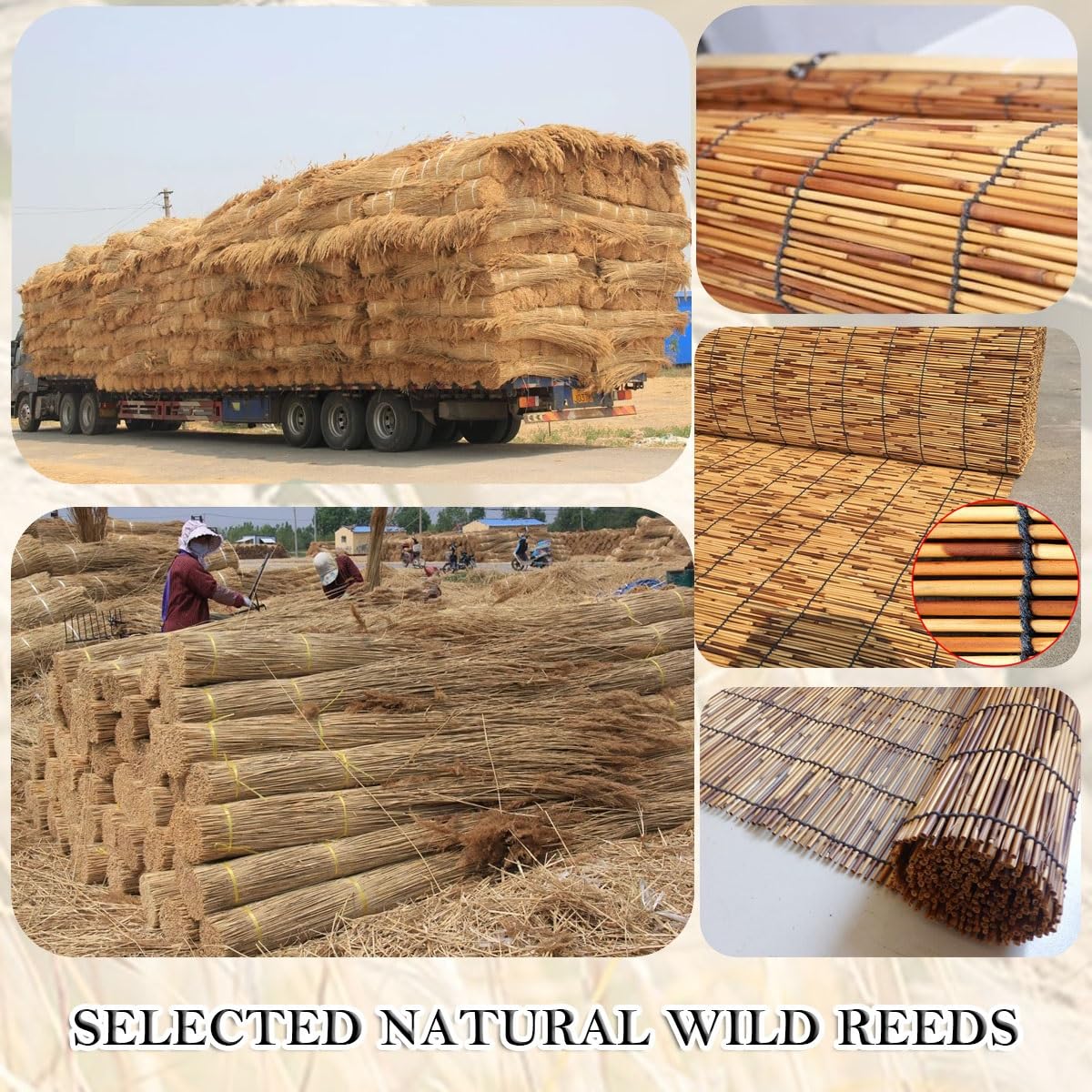 Bamboo Blinds for Interior Windows, Cordless Blackout Roller Shade Privacy Partition Natural Roll-up Reed Shades Retro Outdoor Bamboo Curtain 20 34 38 42 48 50 52 58 60 66 68 70 72 76in(32in x 64in(W KAKVSRBPER