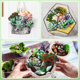 WinnerWhy 116 Pcs Fairy House Accessories Kit Miniature Garden Accessories Terrarium Decoration Mini Diorama Figurines Miniature Landscape Trees Simulated Succulents for DIY Garden Doll House Craft WinnerWhy
