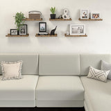 DOLLFIO Floating Shelves Set of 6, Farmhouse Wall Shelves with Lip, Display Shelves for Wall Decor, Rustic Picture Ledge for Living Room, Bedroom, Nursery, Bathroom, Pictures, Books, Plants- Brown DOLLFIO