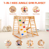CoziBB Indoor Jungle Gym for Kids, 7-in-1 Toddler Indoor Playground with Slide, Swing and Climbing Rock, Wooden Montessori Climbing Toys for Toddlers, Jungle Gym Indoor Playset for Kids 1-10 Years CoziBB