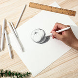 Fulmoon 288 Pcs Blending Stump and Tortillion Set Paper Art Blenders Blend Stumps for Drawing Shading Drawing Supplies Pencil Sketch Paint Tools for Student (Assorted,Mixed Sizes) Fulmoon