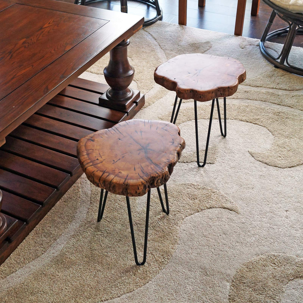 WELLAND Unique Shape Natural Wood Stump Rustic Surface End Table WELLAND