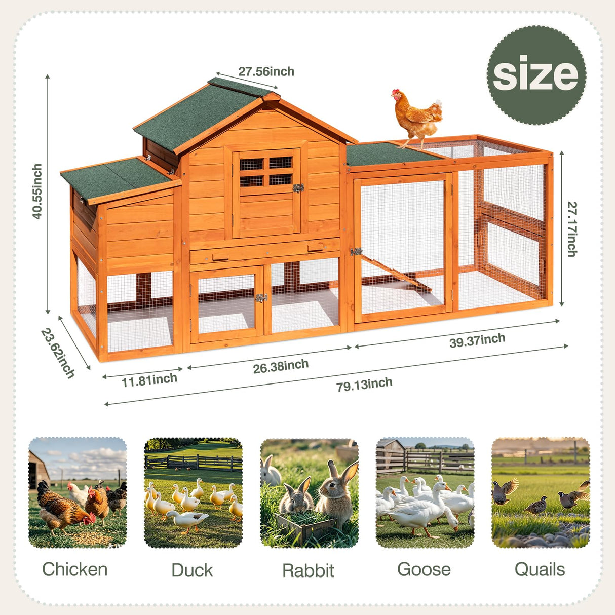 RUNSHED Chicken Coop for 4-6 Chickens Outdoor Wooden Hen House Poultry Pet Hutch for Backyard w/Run Cage & Nesting Box RUNSHED
