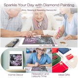 DIADAY Dog Diamond Painting Kits for Adults, 5D Full Drill Diamond Art Kits with Round Gem for Beginners, DIY Art Crafts Home Wall Decor Gift 12 x 12 Inches DIADAY