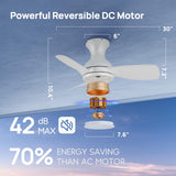 Consciot Ceiling Fan, 30 Inch Ceiling Fan With Lights Remote Control, White Low Profile Modern Ceiling Fan, Flush Mount, Reversible Quiet DC Motor, 6 Speed, Dimmable, Kitchen Bedroom Patio Damp Rated Consciot