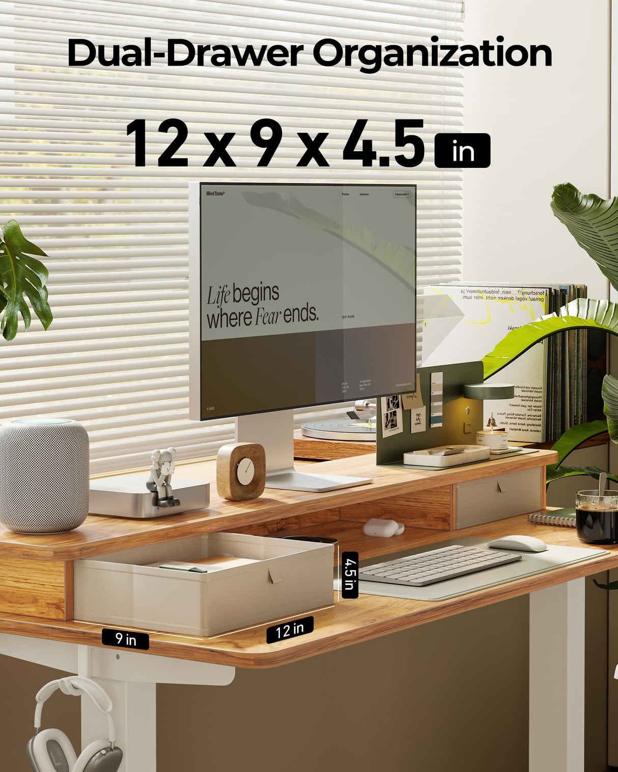 FEZIBO 55 x 24 Inch Height Adjustable Electric Standing Desk with Double Drawer, Stand Up Desk with Storage Shelf, Light Rustic FEZIBO