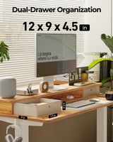 FEZIBO 55 x 24 Inch Height Adjustable Electric Standing Desk with Double Drawer, Stand Up Desk with Storage Shelf, Light Rustic FEZIBO