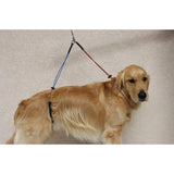 Downtown Pet Supply No Sit Haunch Holder for Dog Grooming Arm and Pet Grooming Table - Dog Grooming Supplies - Stainless Steel Hardware, Rust & Chew Resistant - 19 & 21in - Small/Medium (Haunch Only) Downtown Pet Supply