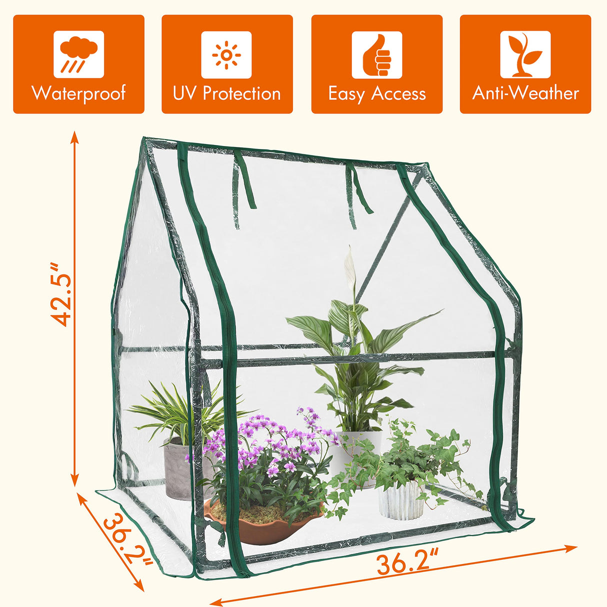 Gardzen Mini Greenhouse Heavy Duty Portable Green House, Clear Tent Indoor or Outdoor for Plants 36.2”(L) x36.2”(W) x42.5”(H) Gardzen