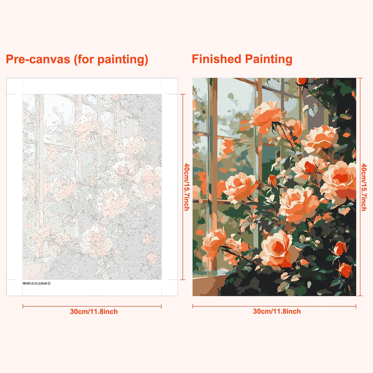 MAXBYE Window Roses Paint by Numbers Kits for Adults Beginners with Wooden Frame, Easy Canvas Paint by Numbers Pink Flowers, DIY Oil Painting Art Kit for Home Wall Decoration 12X16 inch MAXBYE