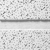 Armstrong Ceiling Tiles; 2x4 Ceiling Tiles - 10 pcs White Ceiling Tiles; Acoustic Ceilings for Suspended Ceiling Grid; CORTEGA Second Look 2767 Armstrong