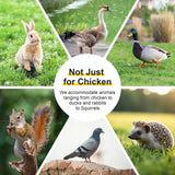 GOJOOASIS Wooden Chicken Coop Pen Folding Rabbit Run Portable Chicken Cages for Outside Chicken Enclosure Outdoor Duck Coop with 2 Accesses & Ventilating Wire for Garden Backyard (Wood) GOJOOASIS