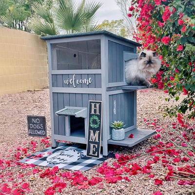 Aivituvin Cat House - 2 Story Outdoor Feral Cats Shelter with Escape Door | Durable Wood Pet House for Cats