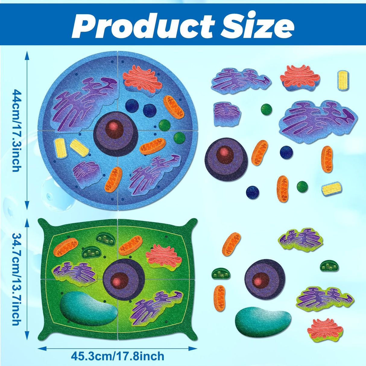 VercanMonth 2 Set Giant Felt Animal and Plant Cell Anatomy Model Kits Early Biology Cell Model Life Science Toys Animal Plant Bacteria Science Kit for Boys Girls Classroom Educational Learning VercanMonth