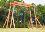 Dolphin Playground Wood Swing Sets for Backyard with Monkey Bar, Kids Outdoor Play Equipment, Outdoor Playset for Kids with Trapeze Swing Bar and 2 Belt Swings, Heavy Duty Playground Accessories DOLPHIN PLAYGROUND T
