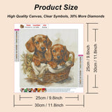 SJUTOUCI Dachshund Diamond Painting Kits for Adults, Dog Diamond Art Kits for Beginners, 5D DIY Diamond Dot Art, Full Drill Gem Craft for Home Decor 12x12 inch SJUTOUCI