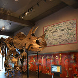 Dinosaur Puzzle 1000 Pieces for Adult, Vintage Dinosaur Jigsaw Puzzles Includes Major Dinosaur Groups, Animal Puzzle as Dinosaur Souvenir BBOLDIN