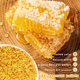 Beeswax Candle Making Kit with Electric Wax Melter for Adult, 5lbs Beeswax for Candle Making and DIY Art&Craft, Including Wax Melting Pot, Wax, Cotton Wick, Wick Stickers KQU