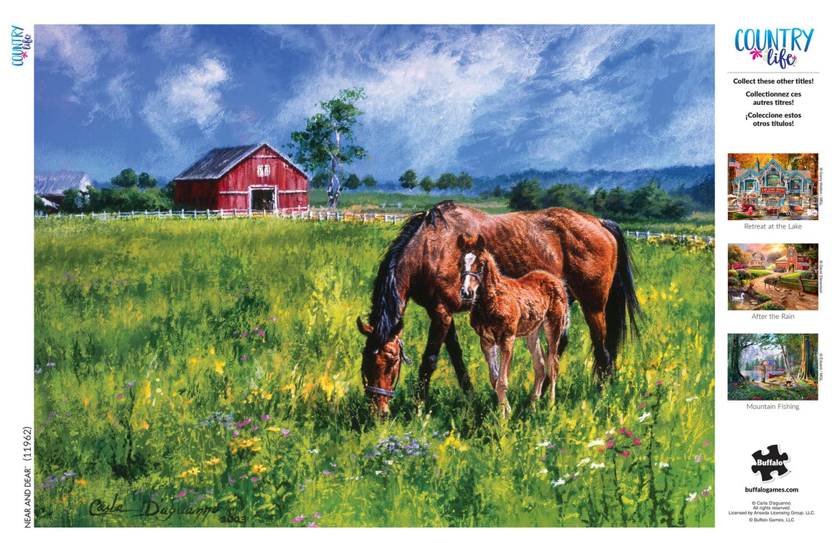 Buffalo Games - Carla D'aguanno - Near and Dear - 1000 Piece Jigsaw Puzzle for Adults -Challenging Puzzle Perfect for Game Nights - Finished Size is 26.75 x 19.75 Buffalo Games
