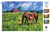 Buffalo Games - Carla D'aguanno - Near and Dear - 1000 Piece Jigsaw Puzzle for Adults -Challenging Puzzle Perfect for Game Nights - Finished Size is 26.75 x 19.75 Buffalo Games